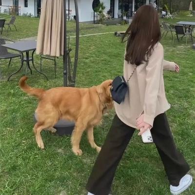 穿长筒靴的猫海报